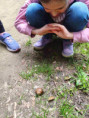 /album/projektovy-den-sd-v-podzamecke-zahrade-v-kromerizi/sd-kromeriz-9-jpg/
